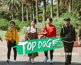 快活影院《TOP DOG》免费在线观看