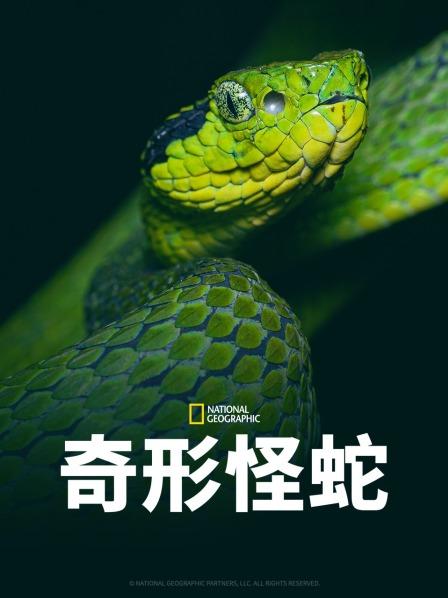 快猫app《奇形怪蛇》免费在线观看